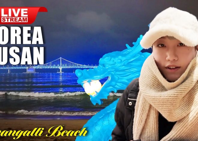 Korea Travel | Busna Live Tour | Fantastic Busan Gwangalli B…