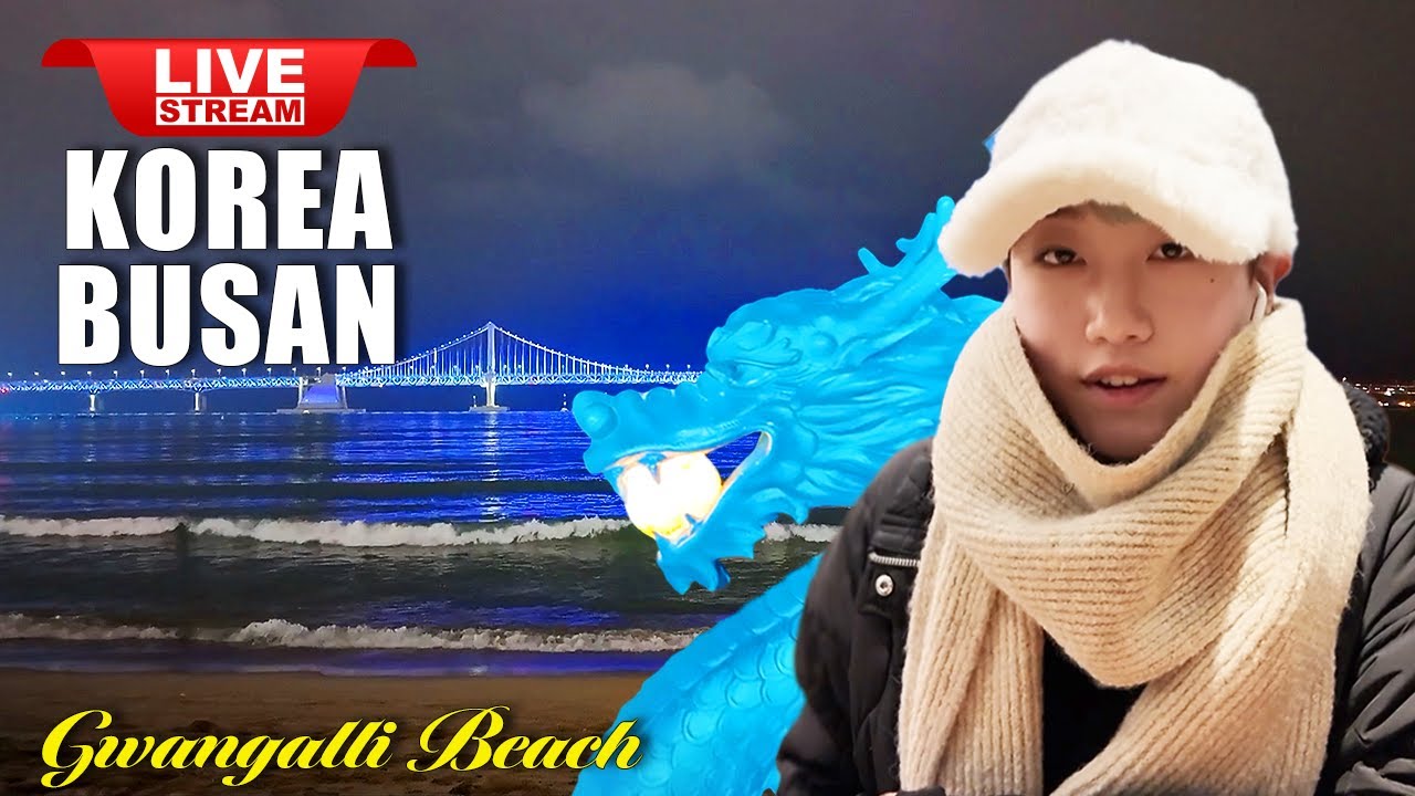 Korea Travel | Busna Live Tour | Fantastic Busan Gwangalli B…