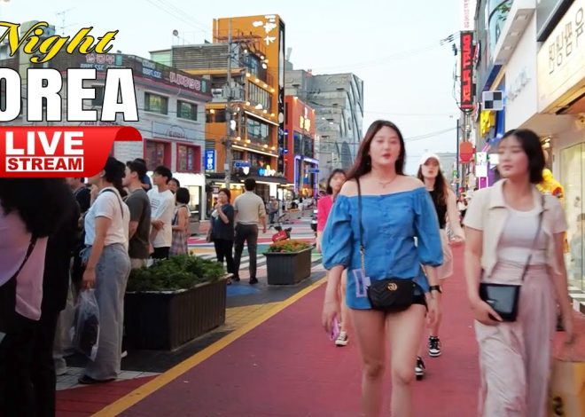 Live Seoul | Korea Travel | Exciting Korean Night Street Wal…